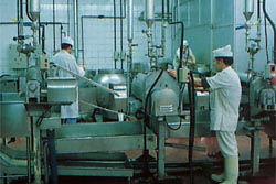 Procesos